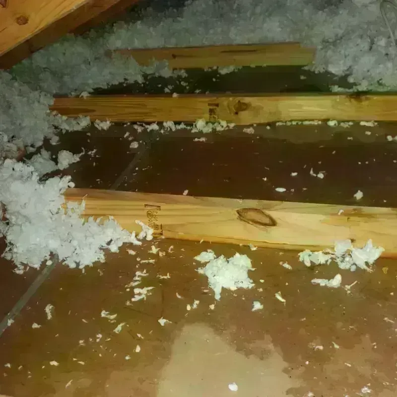 Attic Water Damage in Pointe Coupee Parish, LA